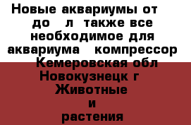 Новые аквариумы от 10 до 30л, также все необходимое для аквариума ( компрессор,  - Кемеровская обл., Новокузнецк г. Животные и растения » Аквариумистика   